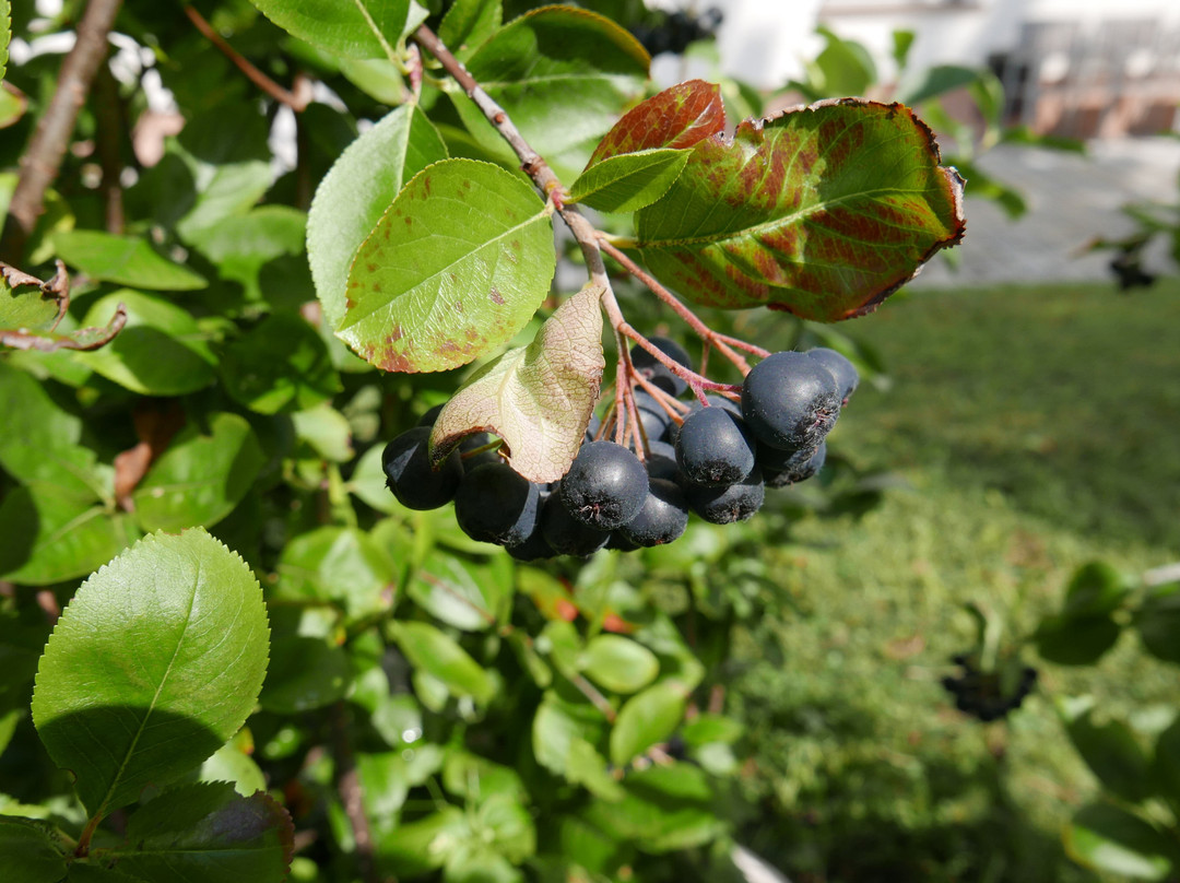 Hotel Restaurant Kaiserhof主图