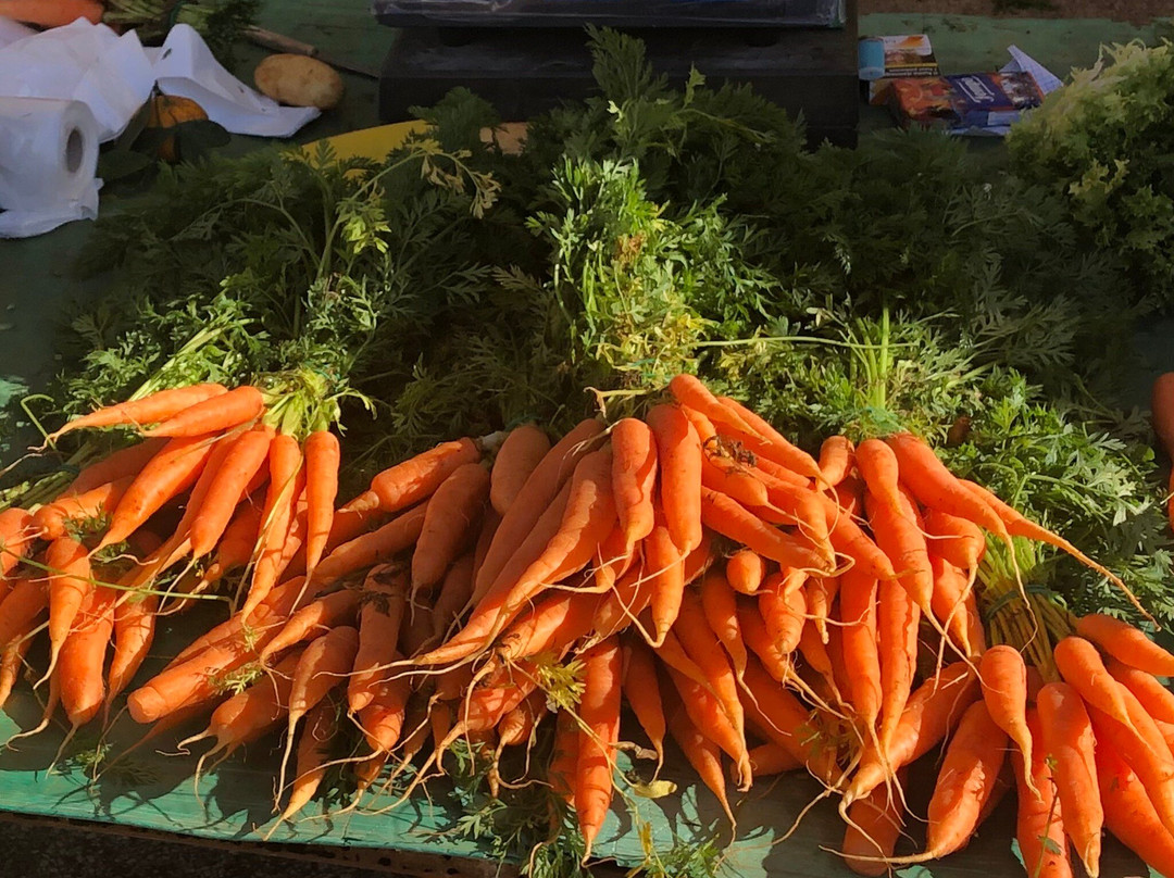 Mercato Del Contadino-Casa Santa必去景点