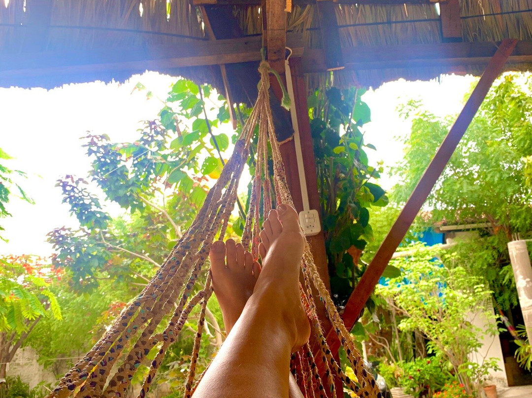 Brisa da Serra Pousada Hotel主图