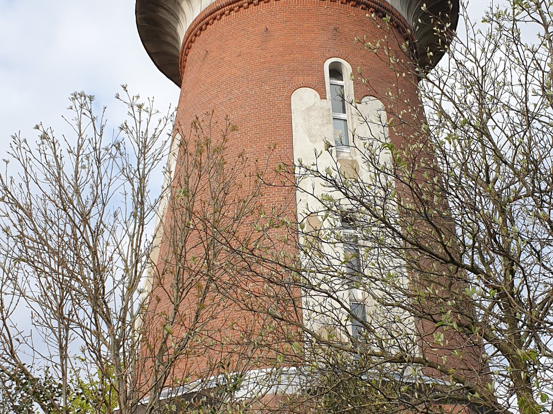 Wasserturm Husum景点图片