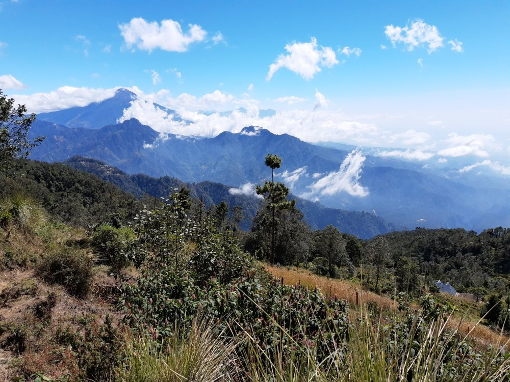 Posada Margaritas主图