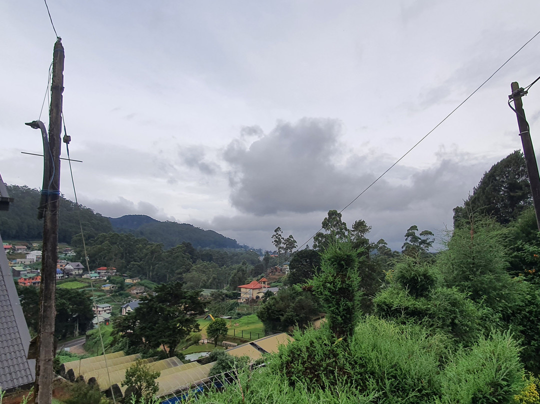 克洛弗利别墅主图