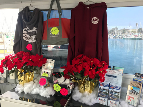 Oceanside Adventures-欧申赛德必去景点