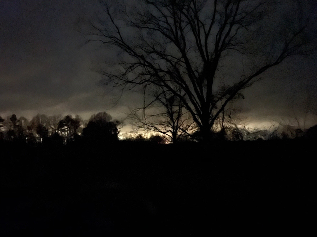 Pig Problem Inc.-Americus必去景点