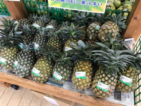 Michi-no-Eki Kyoda Yambaru Local Products Center-名护市必去景点