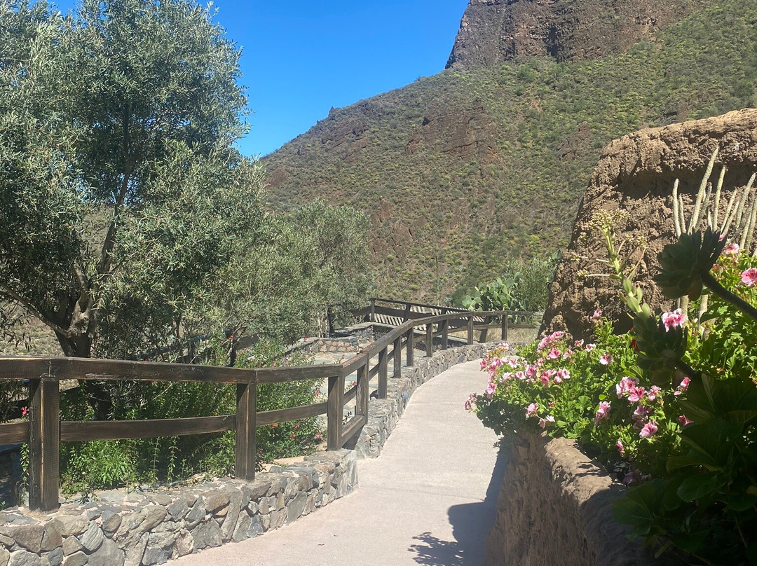 Casa Cueva Canaria景点图片