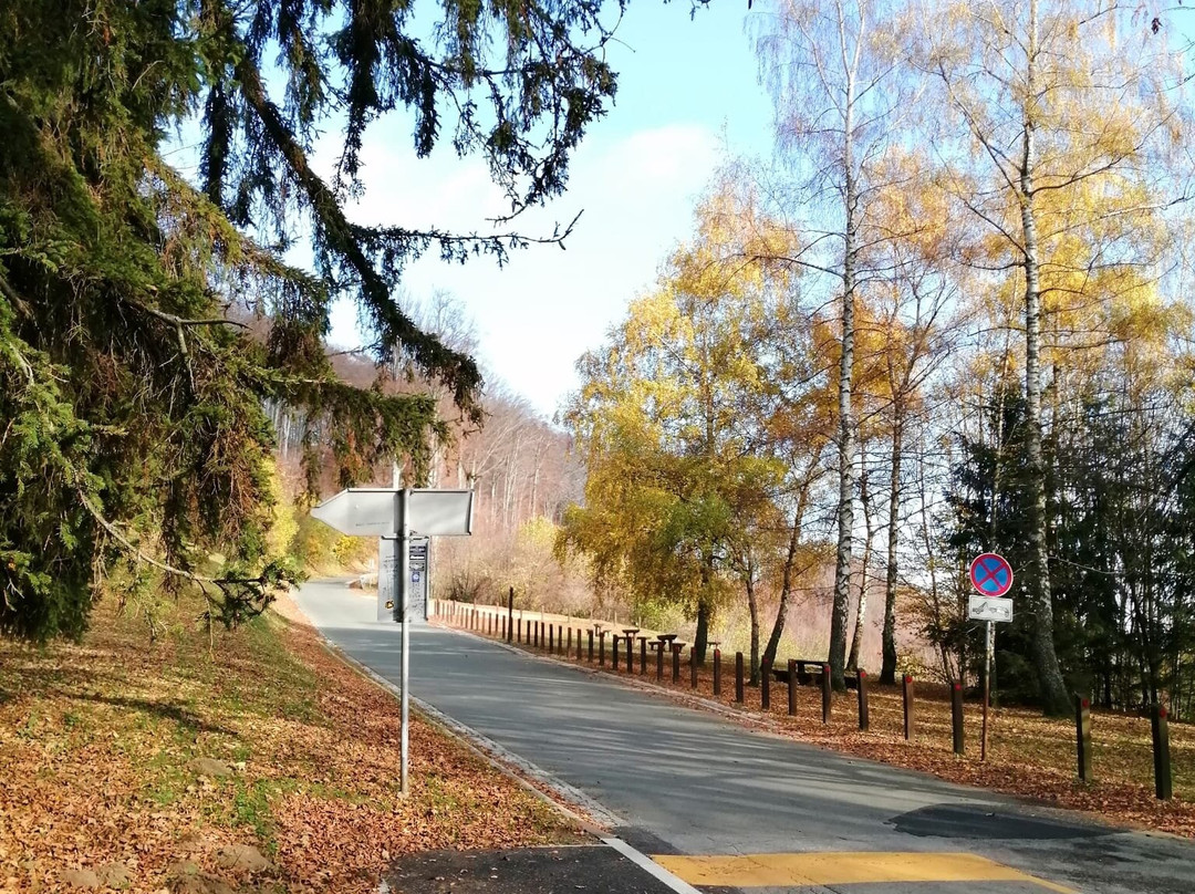 Medvednica mountain (Sljeme)景点图片
