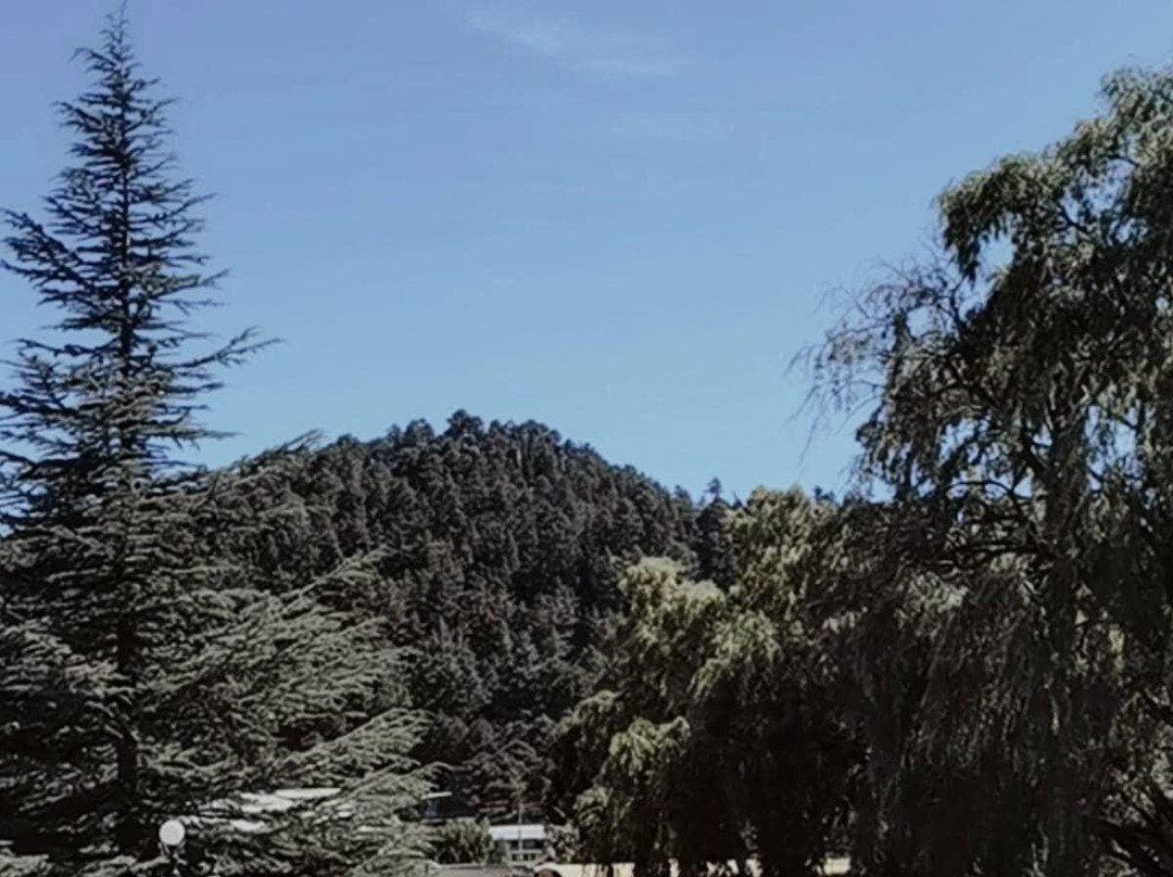 Hotel Cascada Inn主图