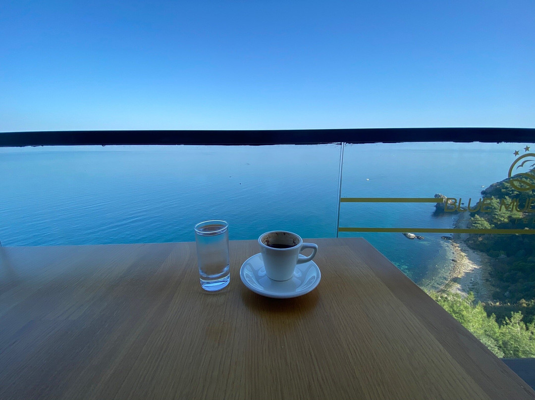 Blue Mudanya Hotel主图