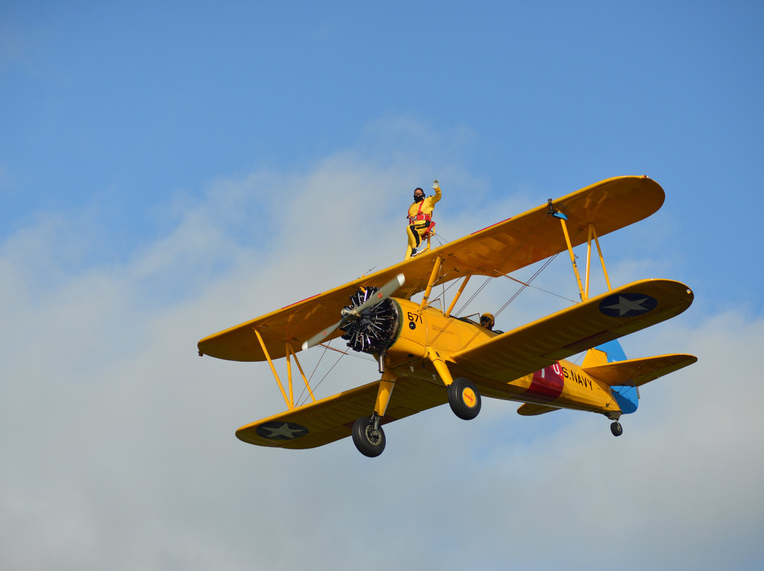 Wingwalk Buzz-Dunkeswell必去景点