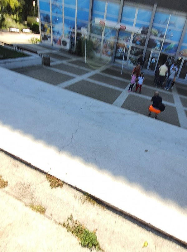 Dolphinarium-瓦尔纳必去景点