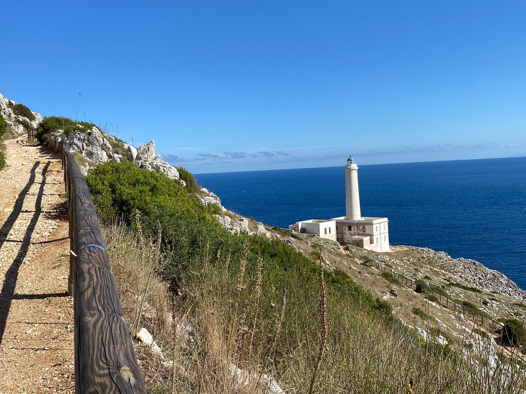 Cape Palascia景点图片