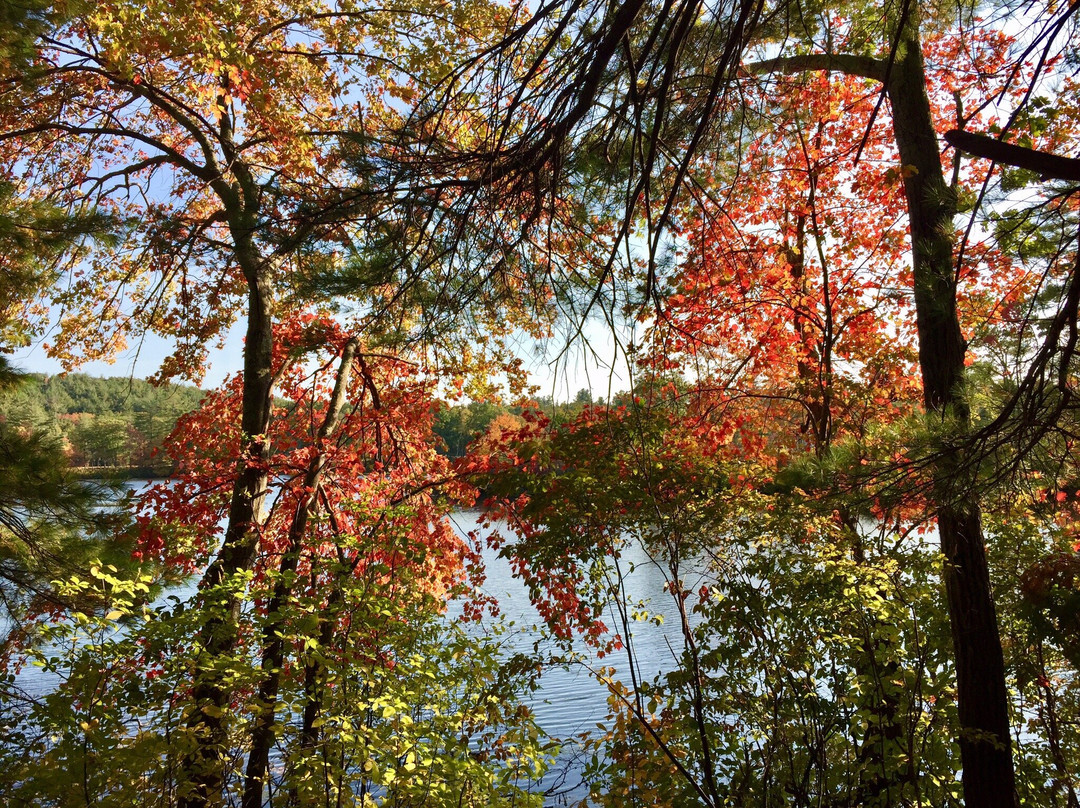 Assabet River National Wildlife Refuge景点图片