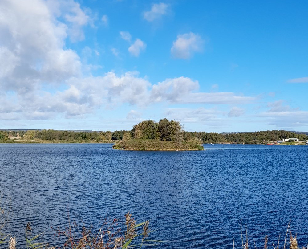 Wykeham Lakes Fishery景点图片