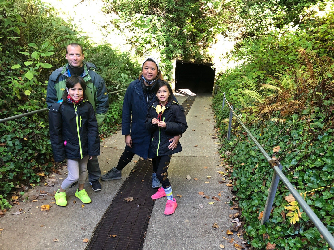 Bluespring Caverns-Bedford必去景点