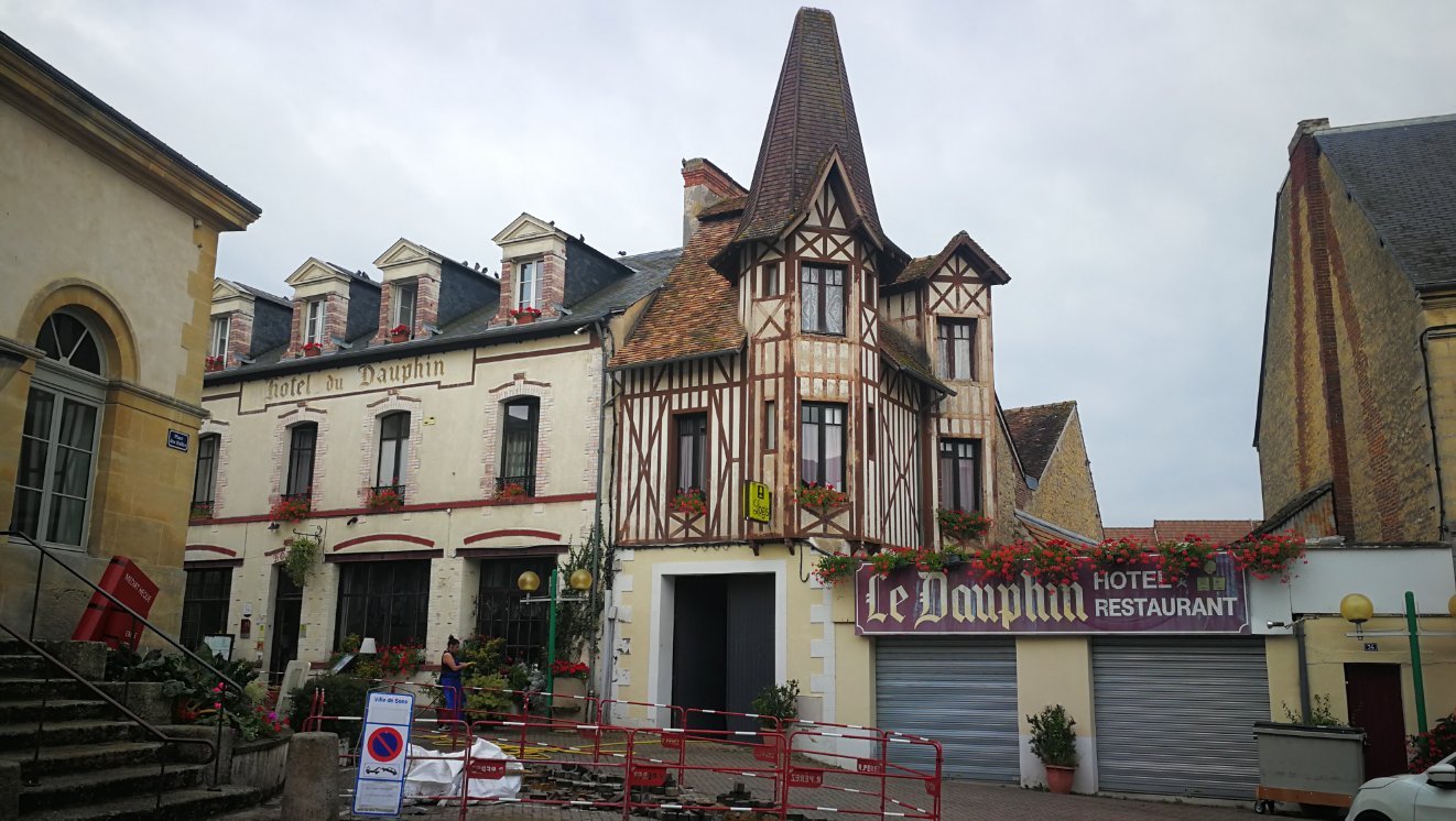 Logis Hôtel du Dauphin-官方