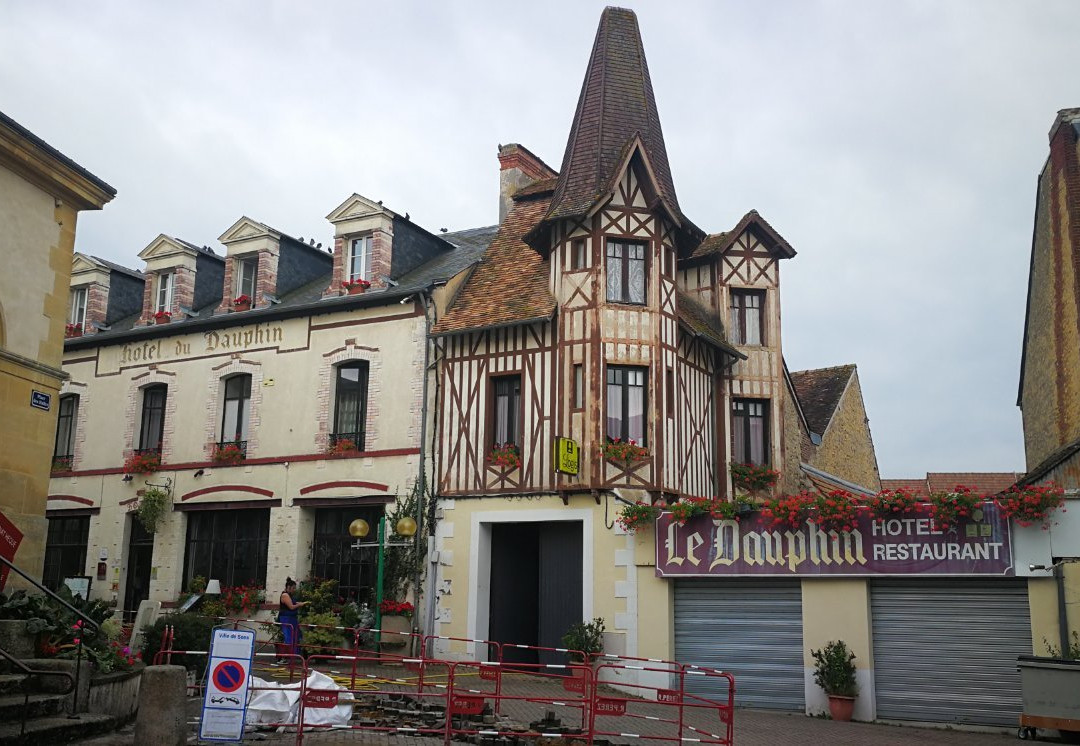 Logis Hôtel du Dauphin主图