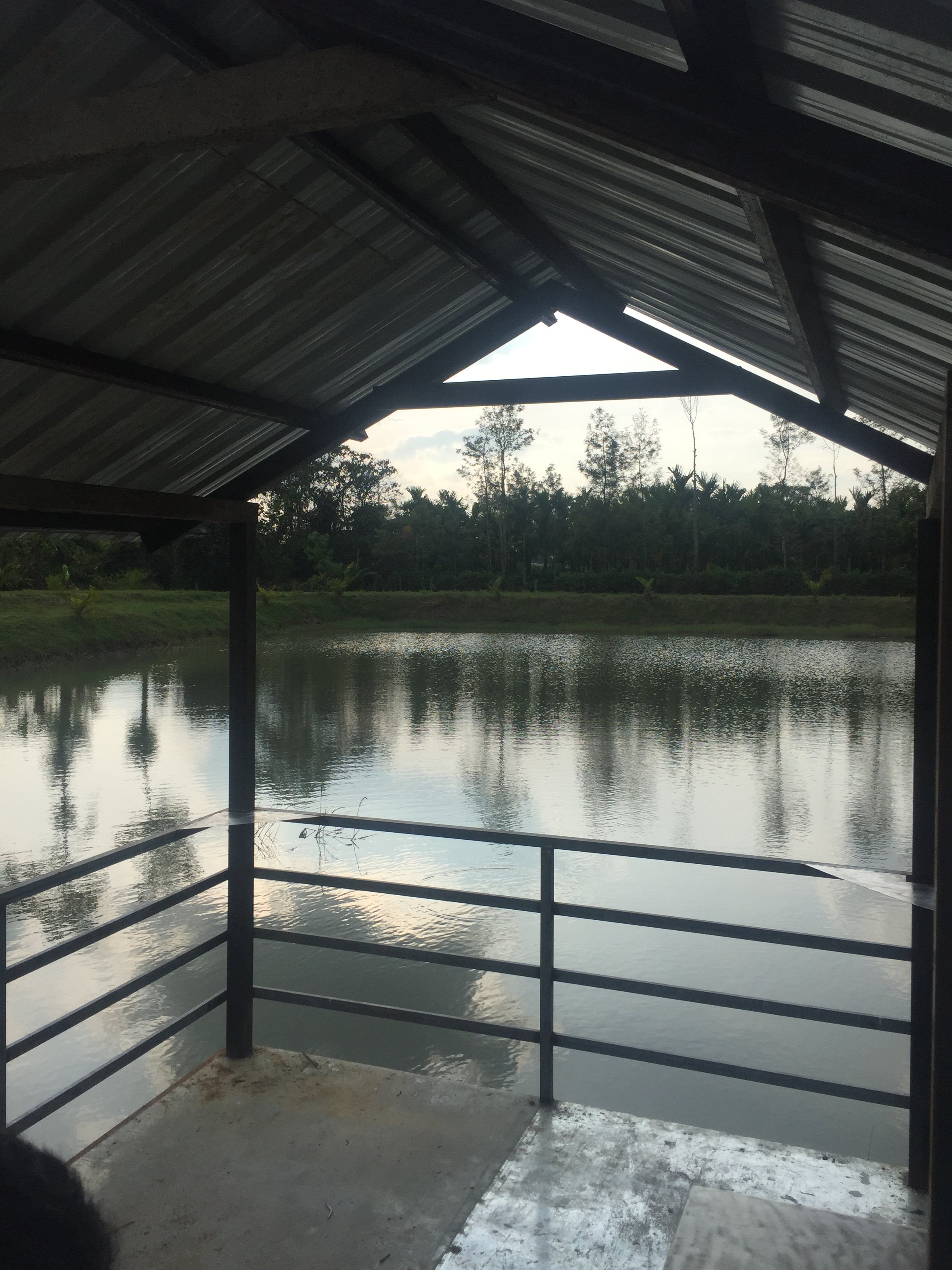 Malnad Mist Vintage Homestay-泳池