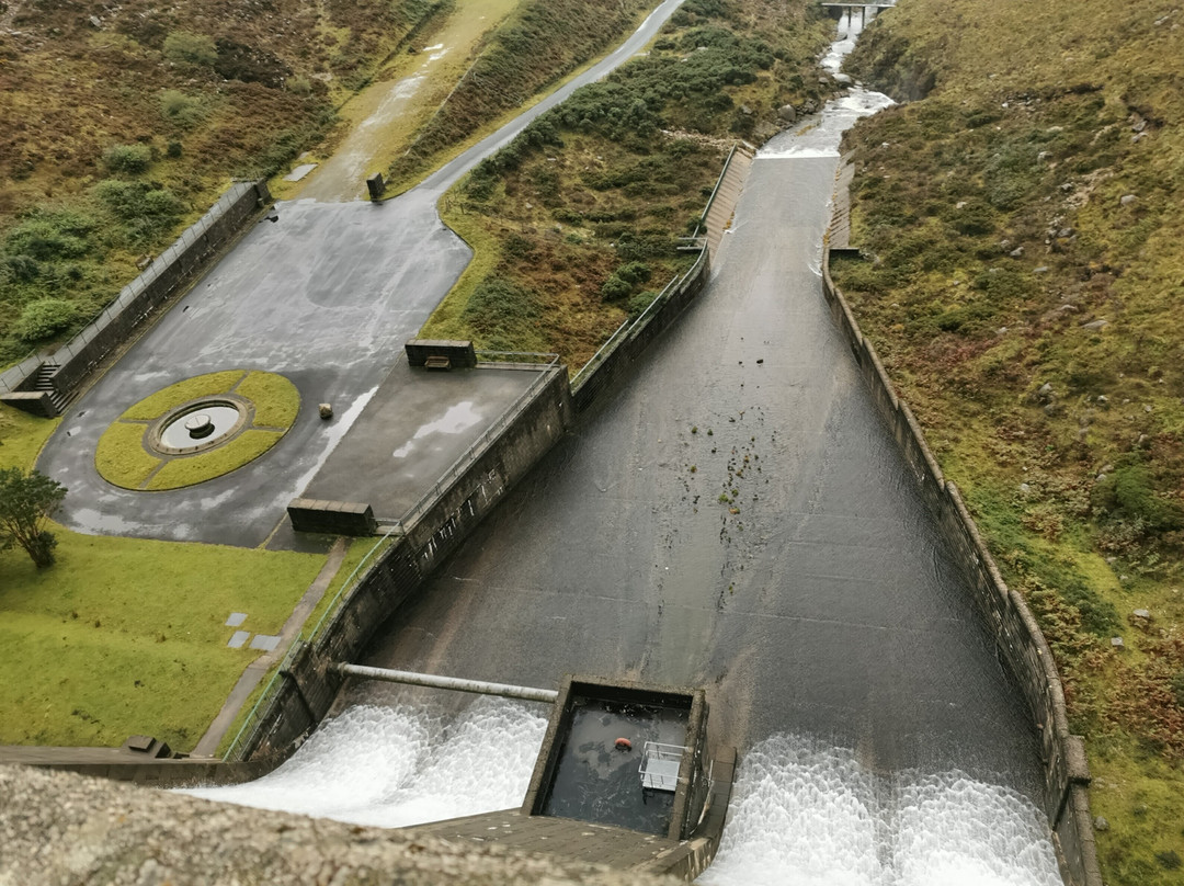 Silent Valley and Ben Crom Reservoirs-纽卡斯尔必去景点