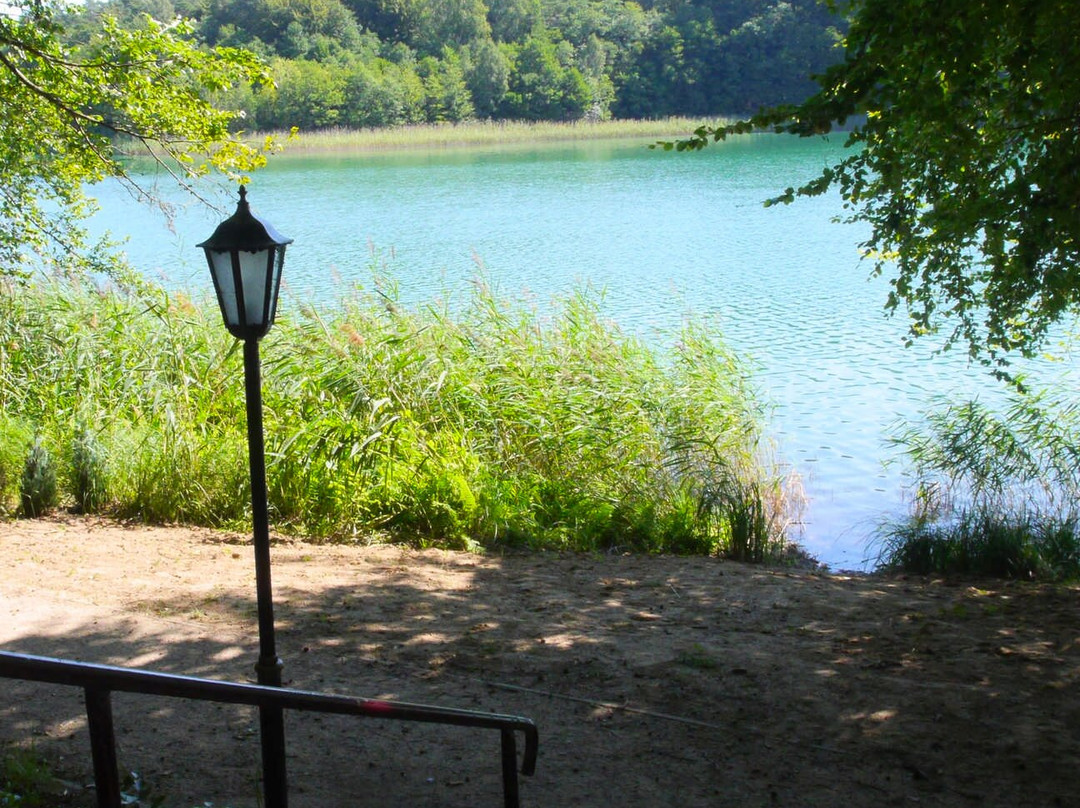 Jagdschloss Waldsee主图