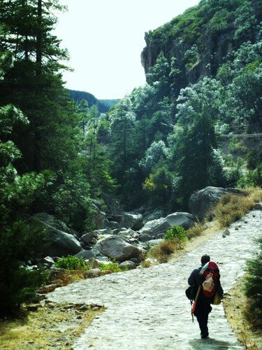 Copper Canyon Tours-Creel必去景点