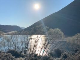 Arthur's Pass National Park Visitor Centre景点图片