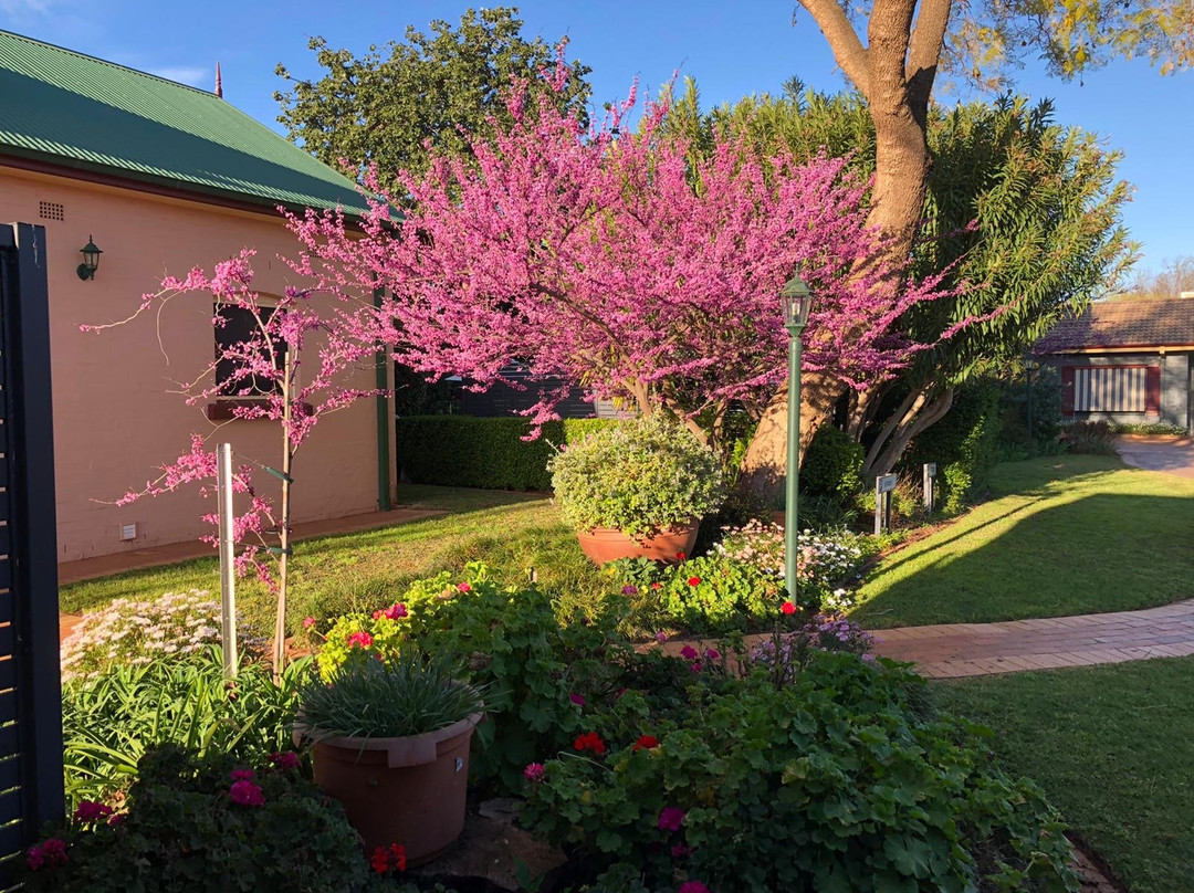 Country Apartments主图