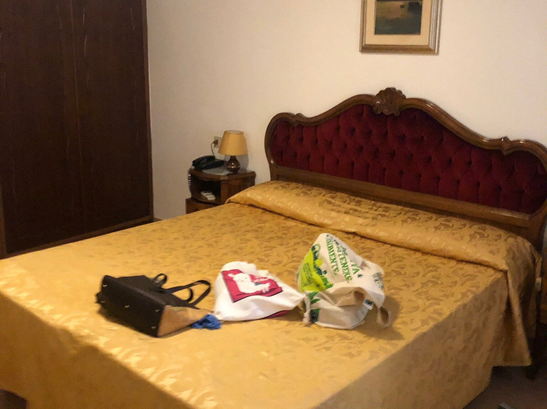 爱丽儿希尔瓦酒店主图