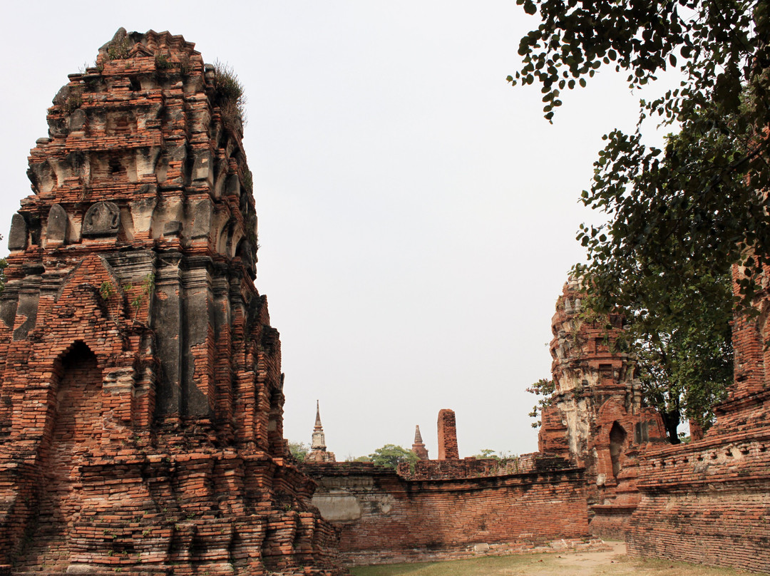 Ayutthaya Historical Park景点图片
