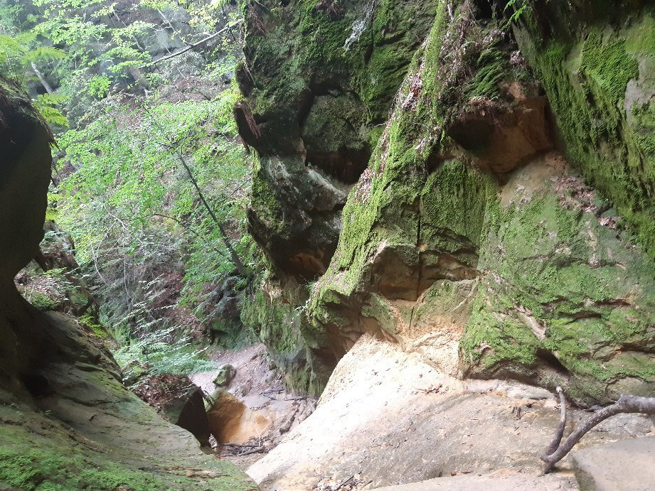 Witch Gorge/Wawoz Czarownic景点图片