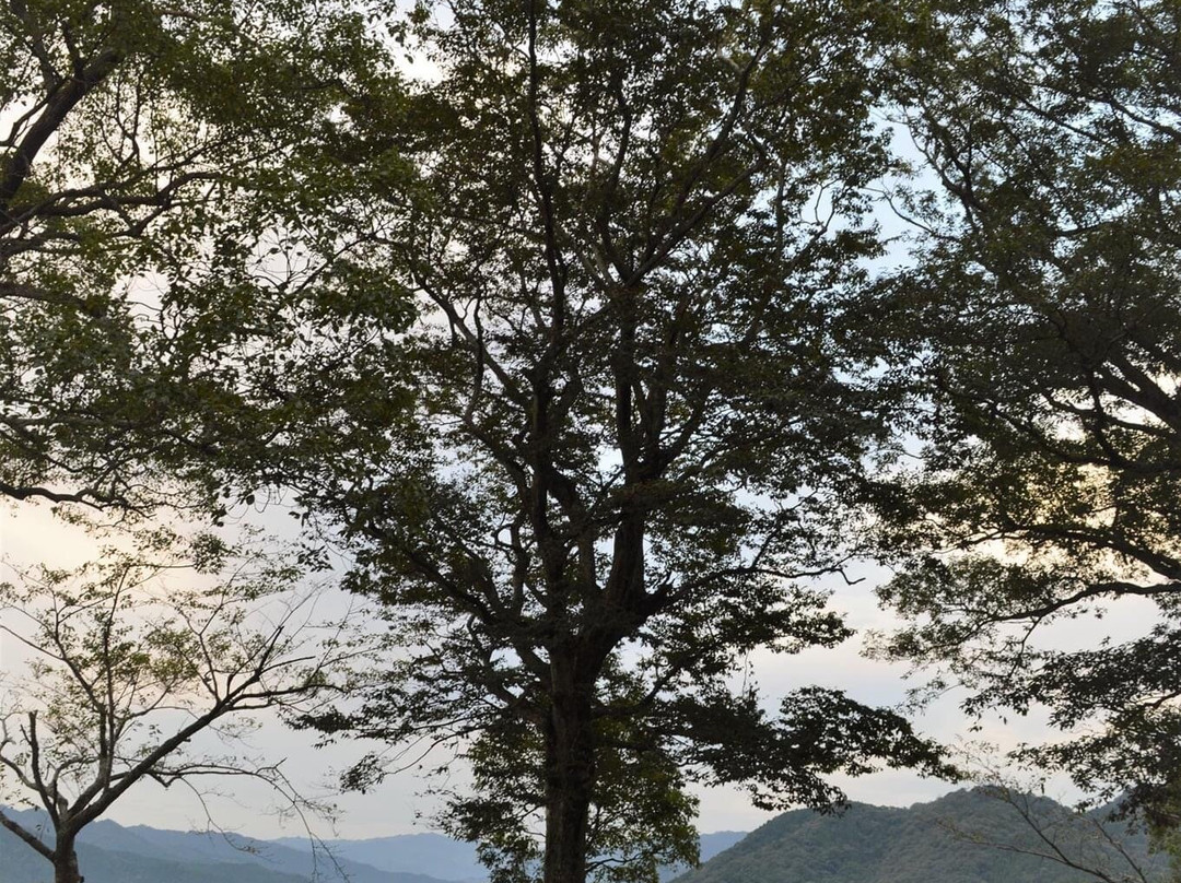 Mt. Shiroyama-佐伯市必去景点
