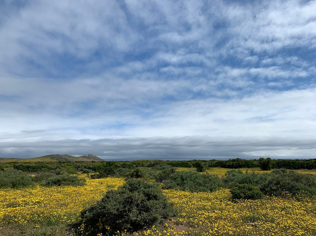 West Coast National Park-West Coast National Park必去景点