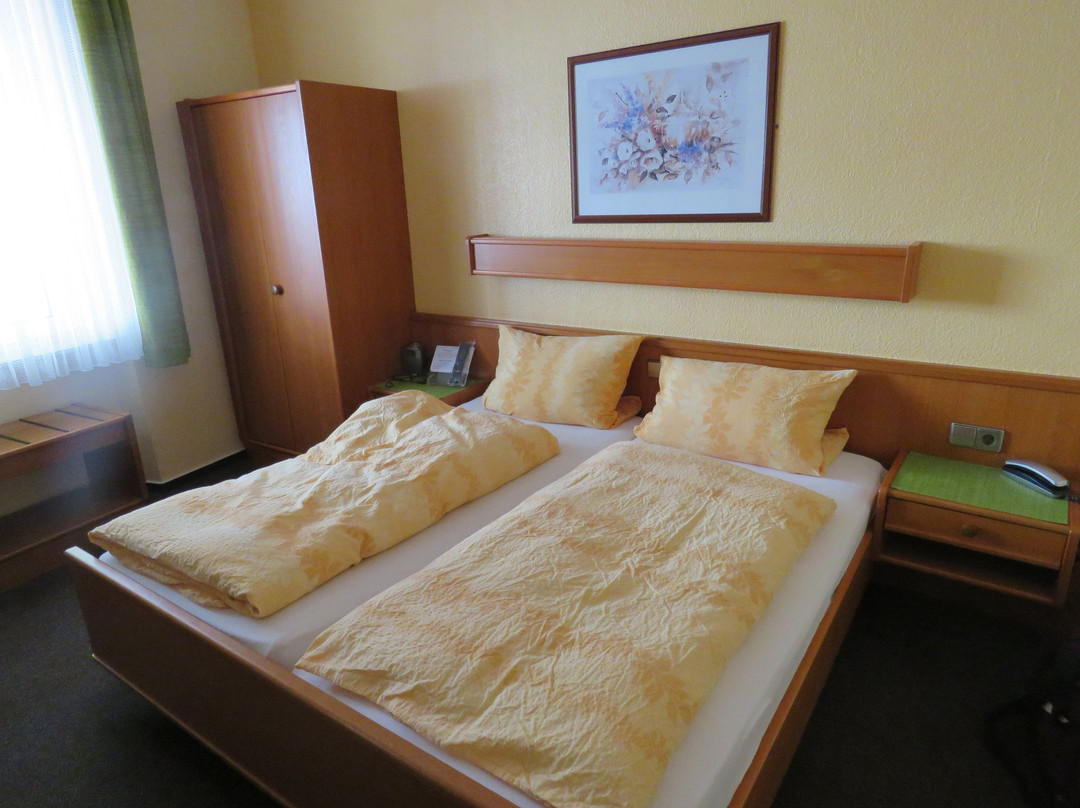 Hotel & Restaurant Singender Wirt主图