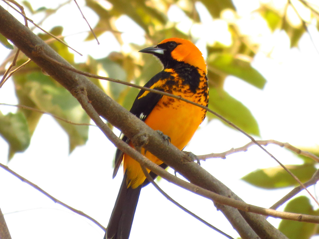 Hotel el Greco主图