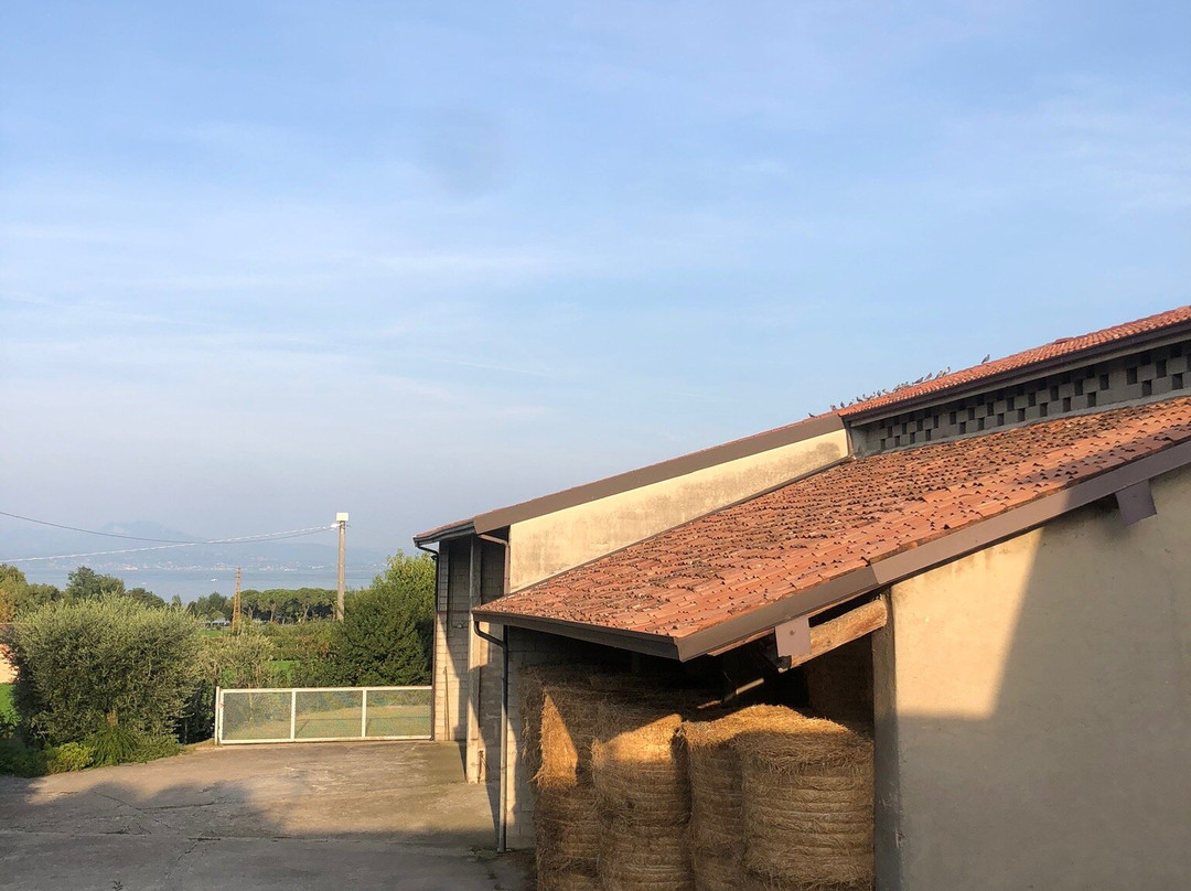 Art Gallery B&B主图