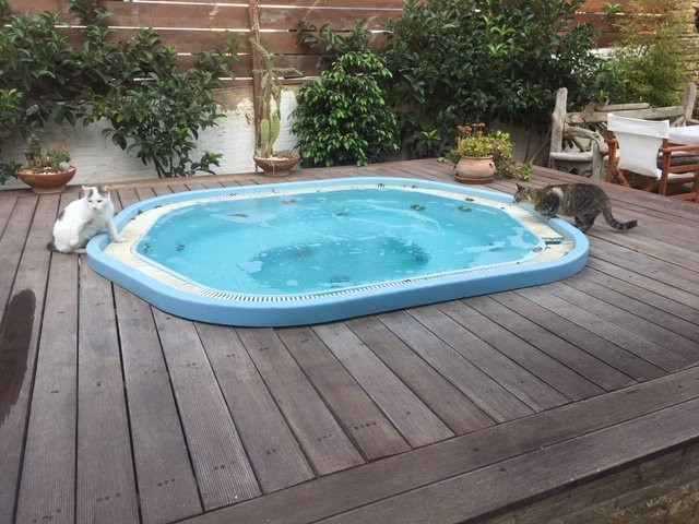 Vincenzo Family Hotel主图