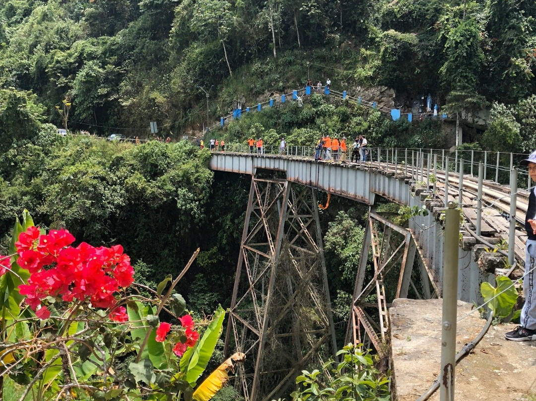Medellín Bungee景点图片
