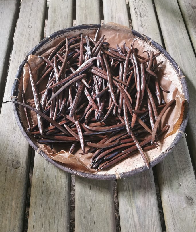Plantation Vanilla-Bourbon景点图片