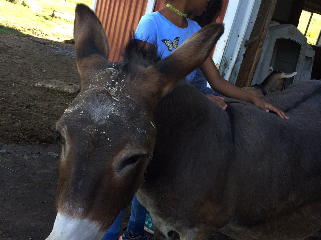 Rainbow Ridge Farms La Crosse/onalaska主图