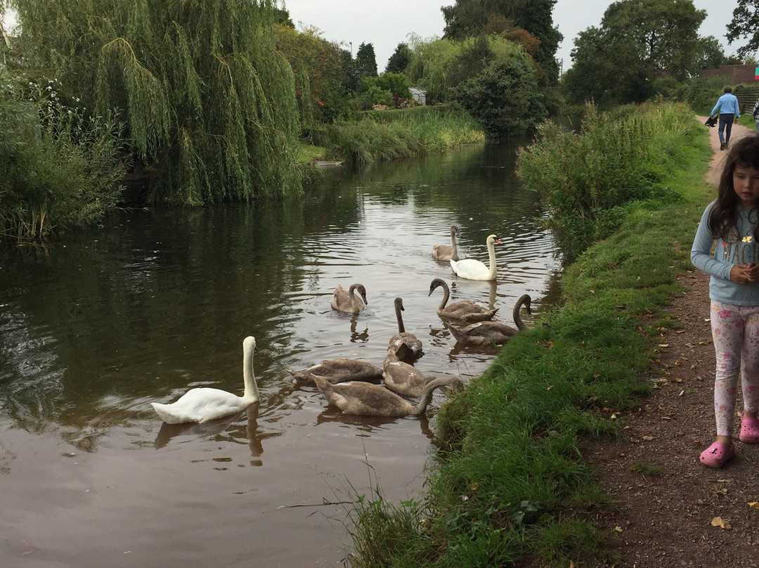 Sampford Peverell旅游攻略图片