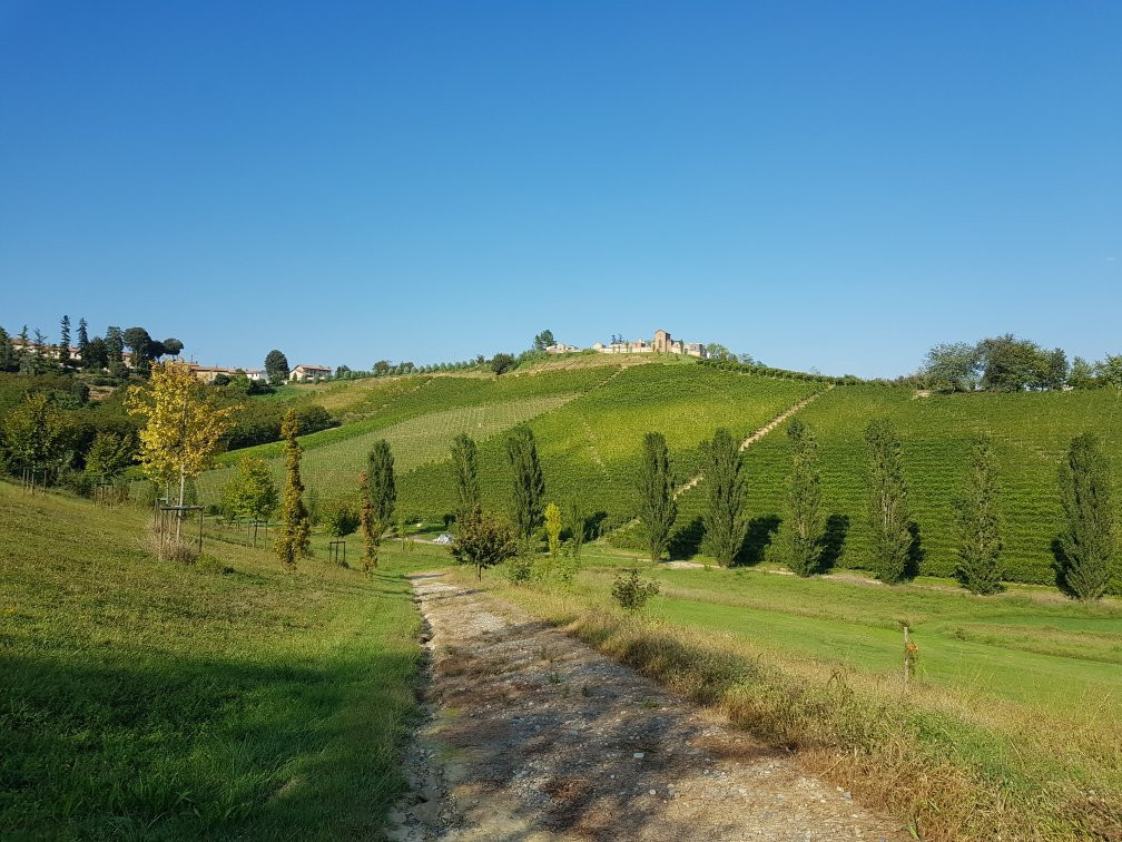 Relais di Tenuta Santa Caterina主图