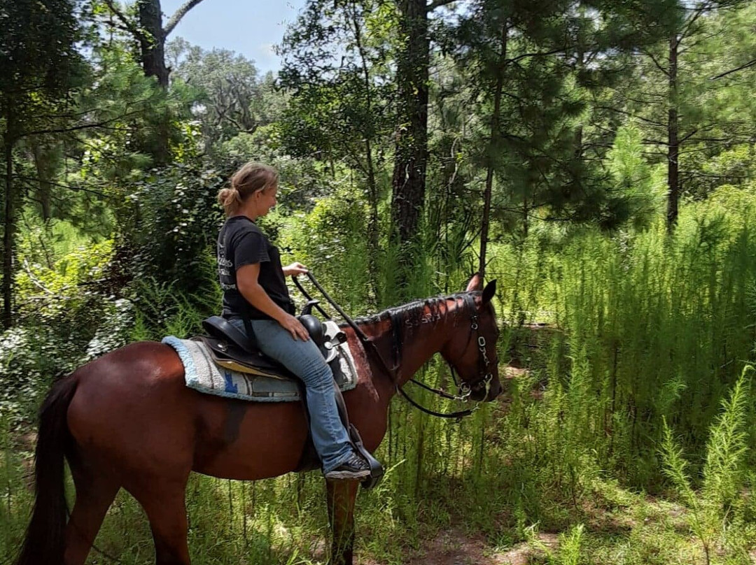 Skunkie Acres, Inc'-Citra必去景点