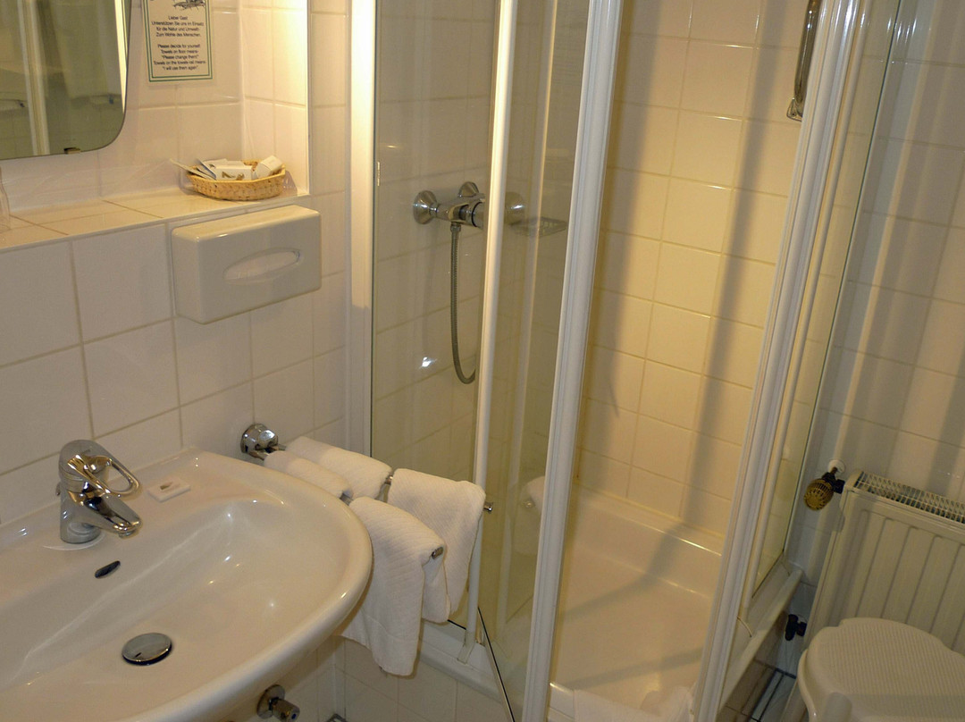 Mandelholz Hotel Grüne Tanne主图