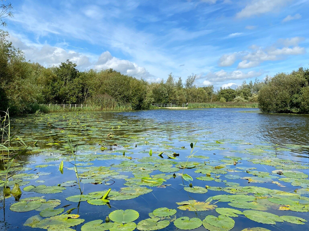 McMahon/Clare Lake Park景点图片