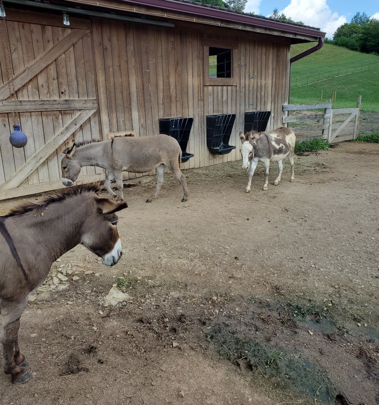 Fox's High Rock Farm-洛根必去景点