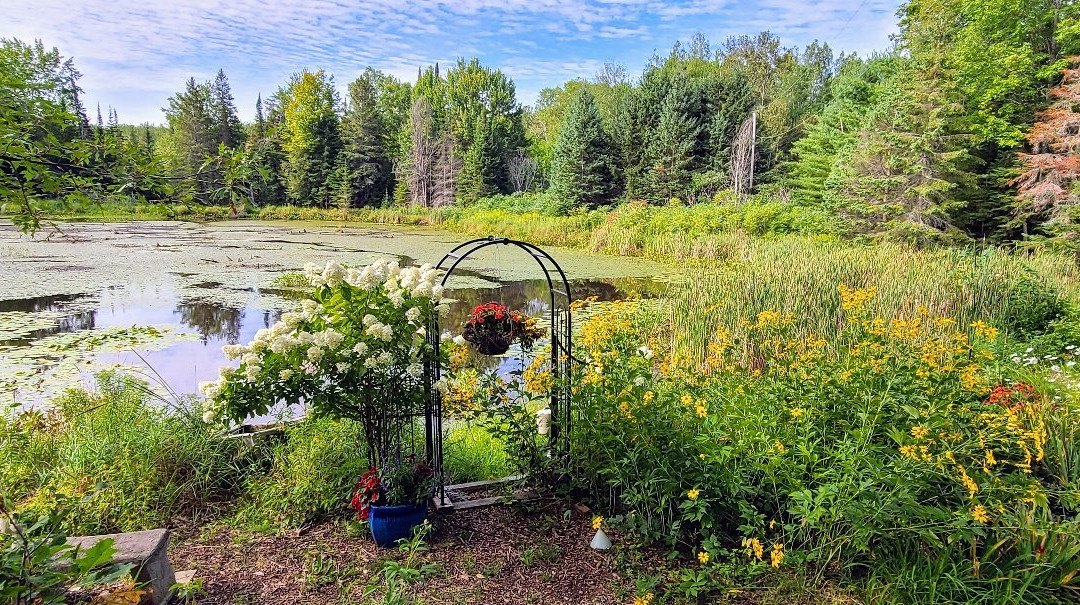 Shambhala Bed and Breakfast主图