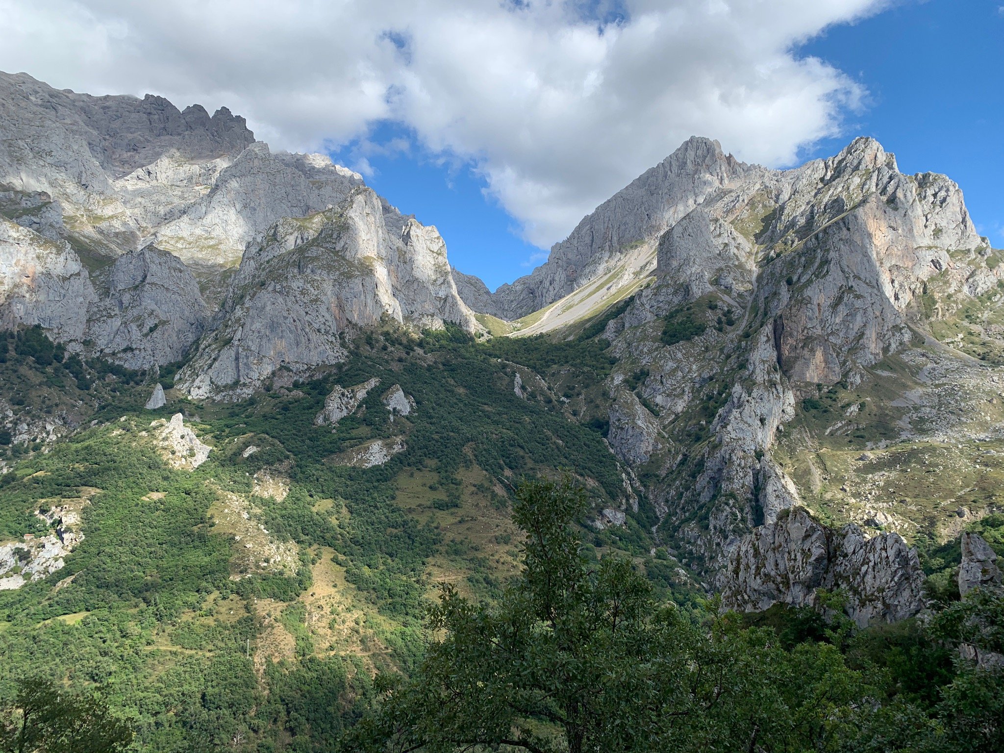 Picos de Europa-官方