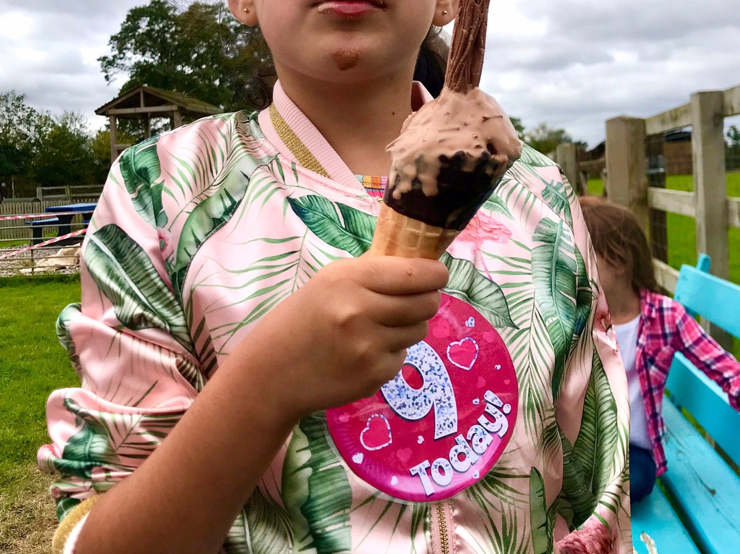Hitcham Dairy Ice Cream-Burnham必去景点