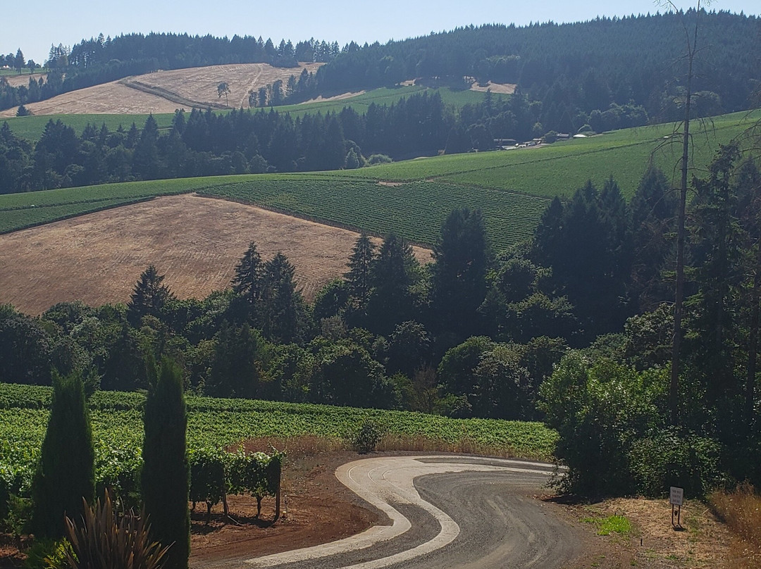 Cellar Door Wine Tours-Lafayette必去景点