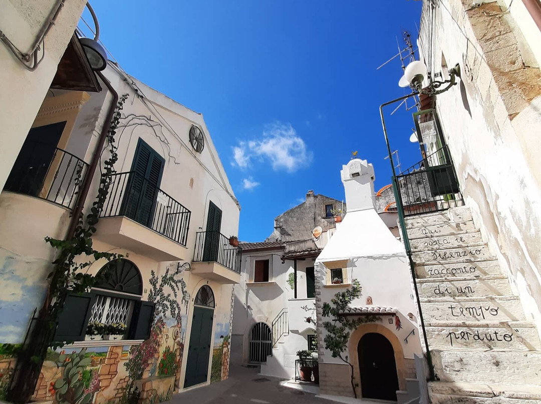 Hotel Miramare主图